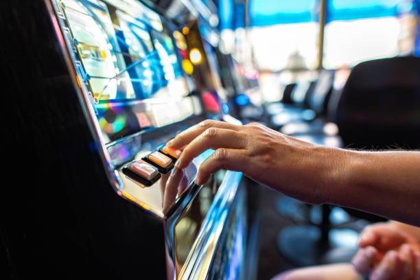 pohon4d What Bingo Offers